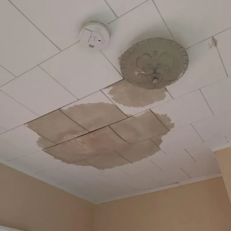 Ceiling Water Damage Repair in Leola, SD