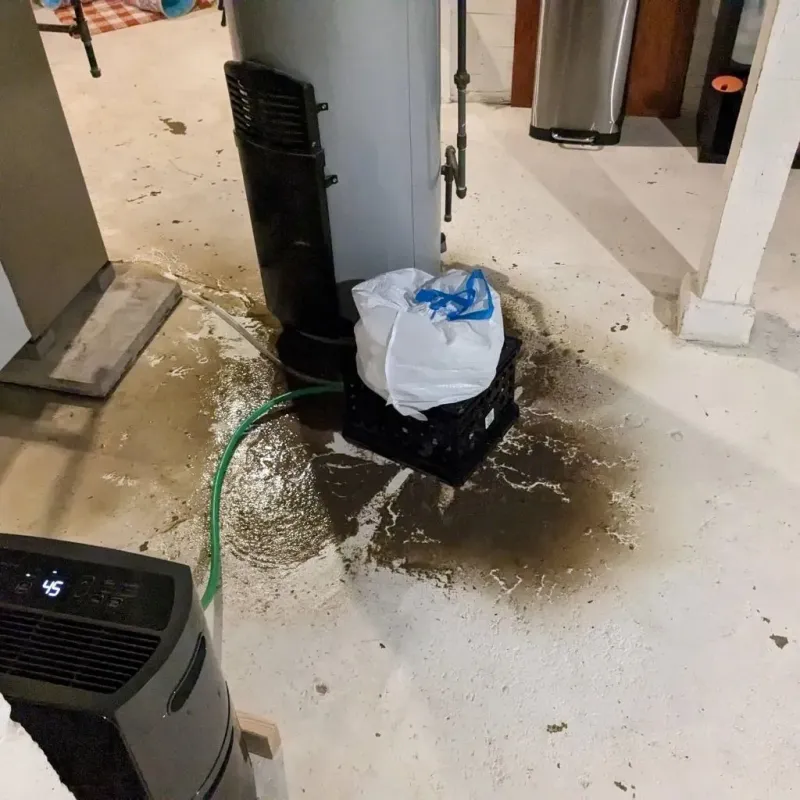 Sewage Backup Cleanup Service in Leola, SD